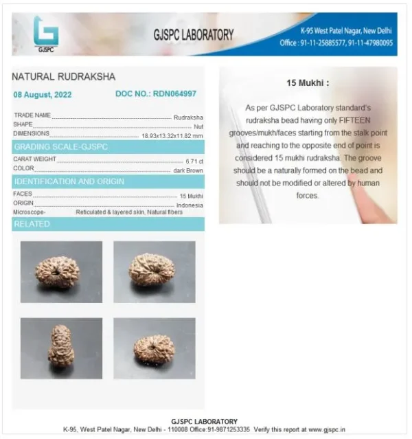 15 Mukhi Certificate