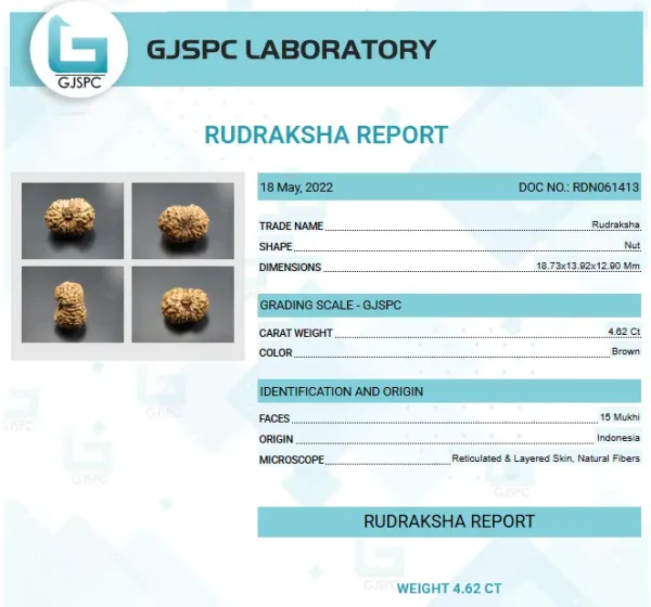 15 Mukhi Certificate