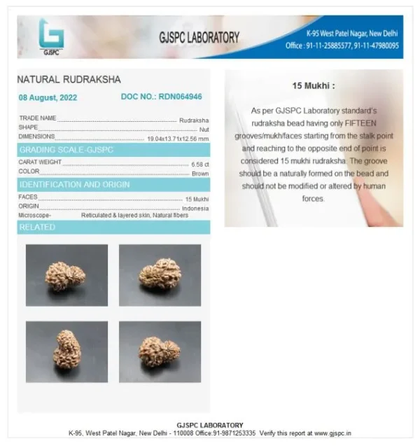 15 Mukhi Certificate