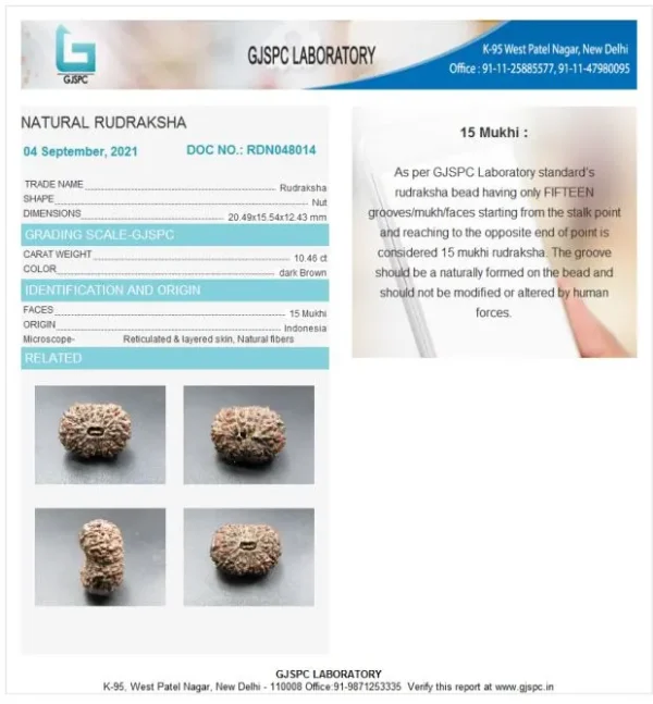 15 Mukhi Certificate