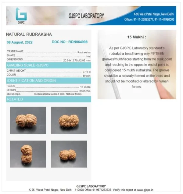 15 Mukhi Certificate