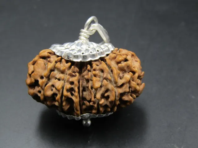 15 Mukhi Rudraksha