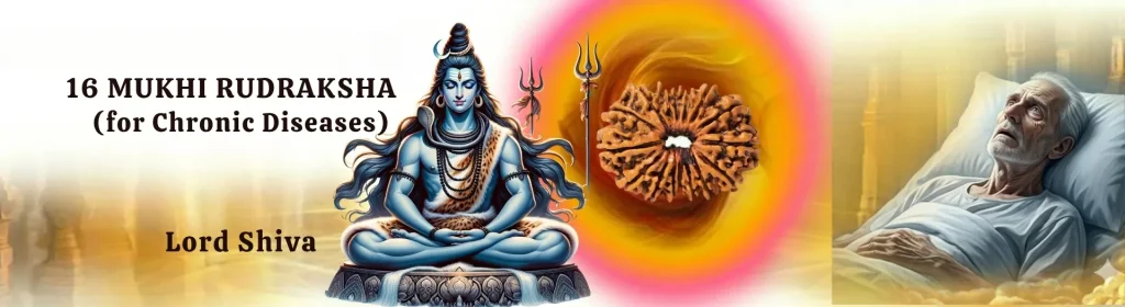 16 MUKHI RUDRAKSHA banner