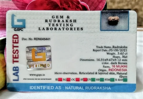16 Mukhi Certificate