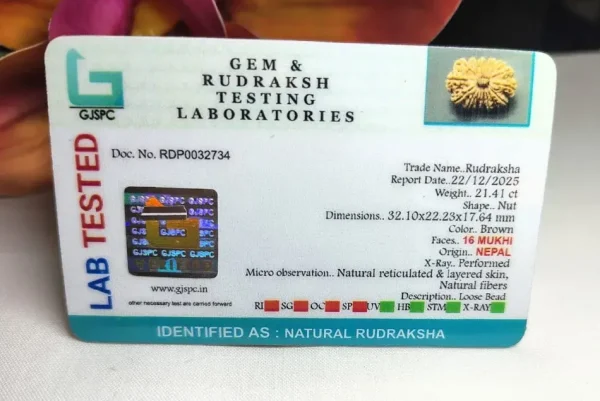16 Mukhi Certificate