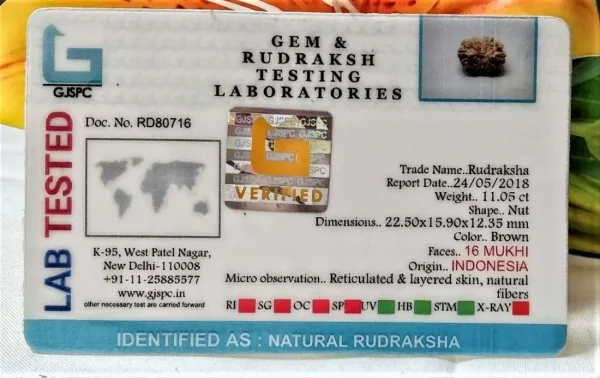 16 Mukhi Certificate