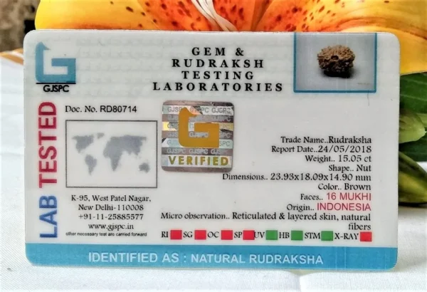 16 Mukhi Certificate