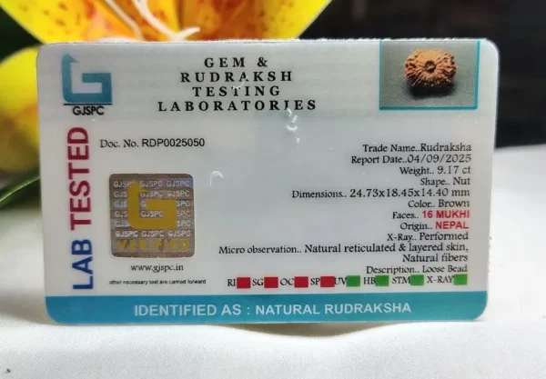 16 Mukhi Certificate