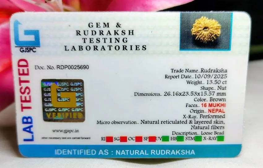 16 Mukhi Certificate