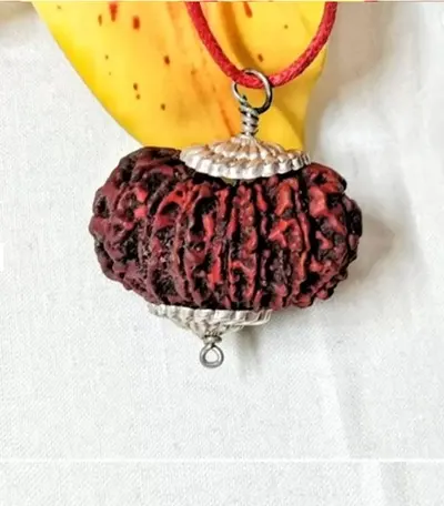 16 Mukhi Rudraksha