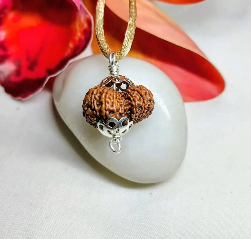 16 Mukhi Rudraksha