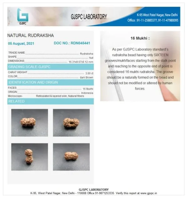 16 Mukhi Certificate