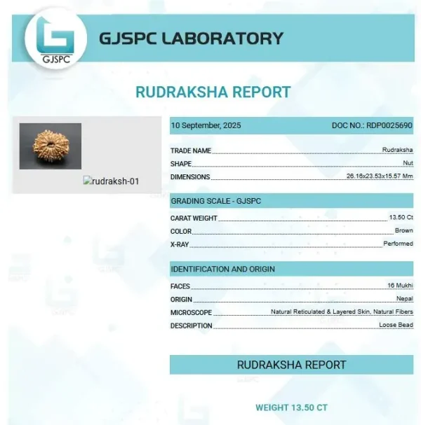 16 Mukhi Certificate