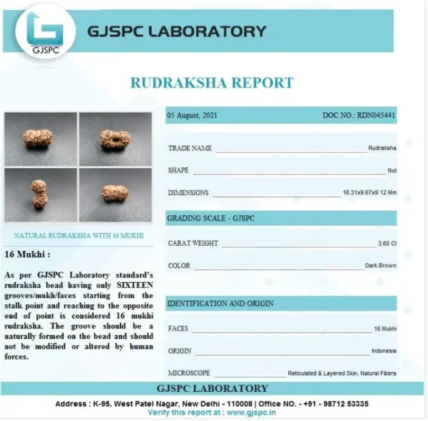 16 Mukhi Certificate