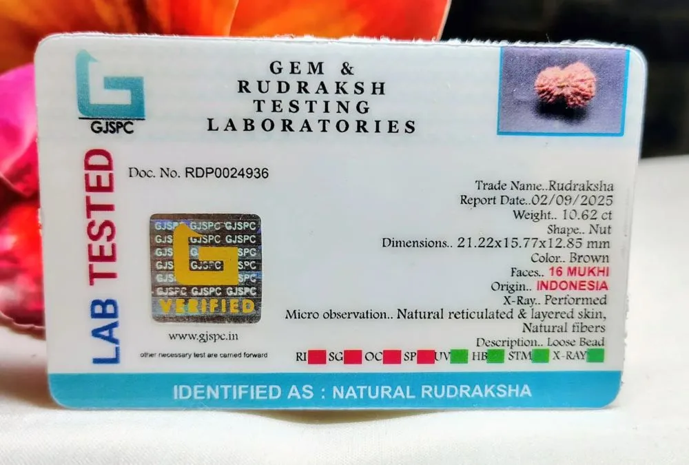 16 Mukhi Certificate