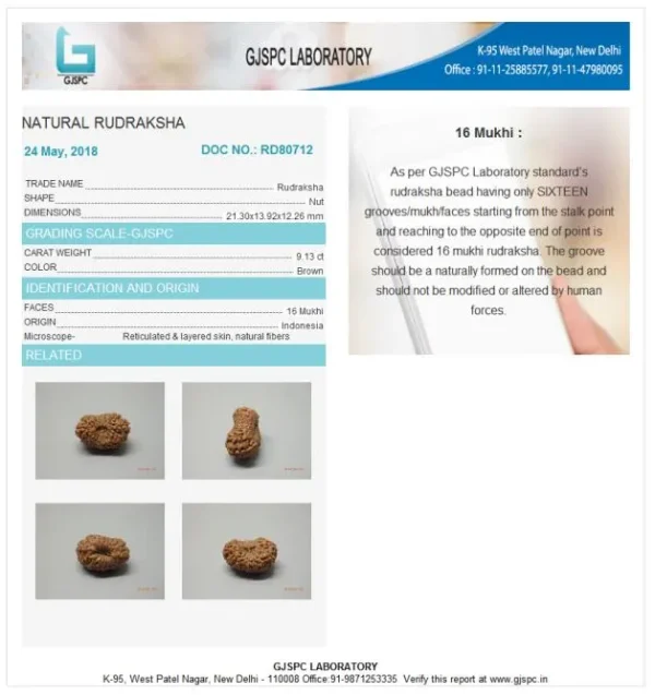 16 Mukhi Certificate