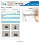 16 Mukhi Certificate