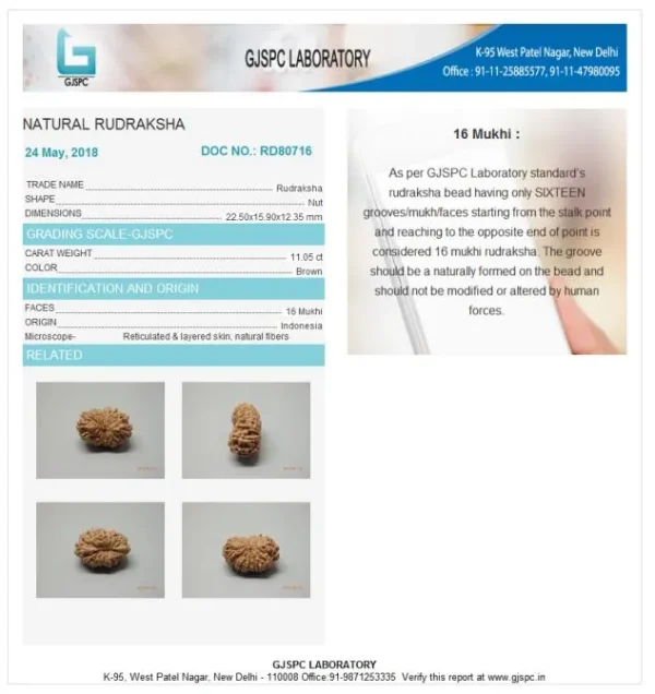 16 Mukhi Certificate