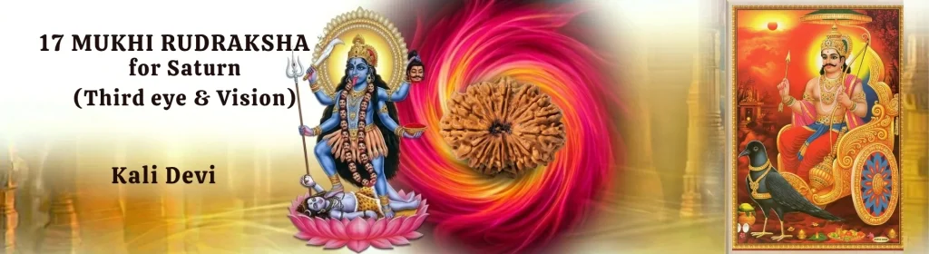 17 MUKHI RUDRAKSHA banner