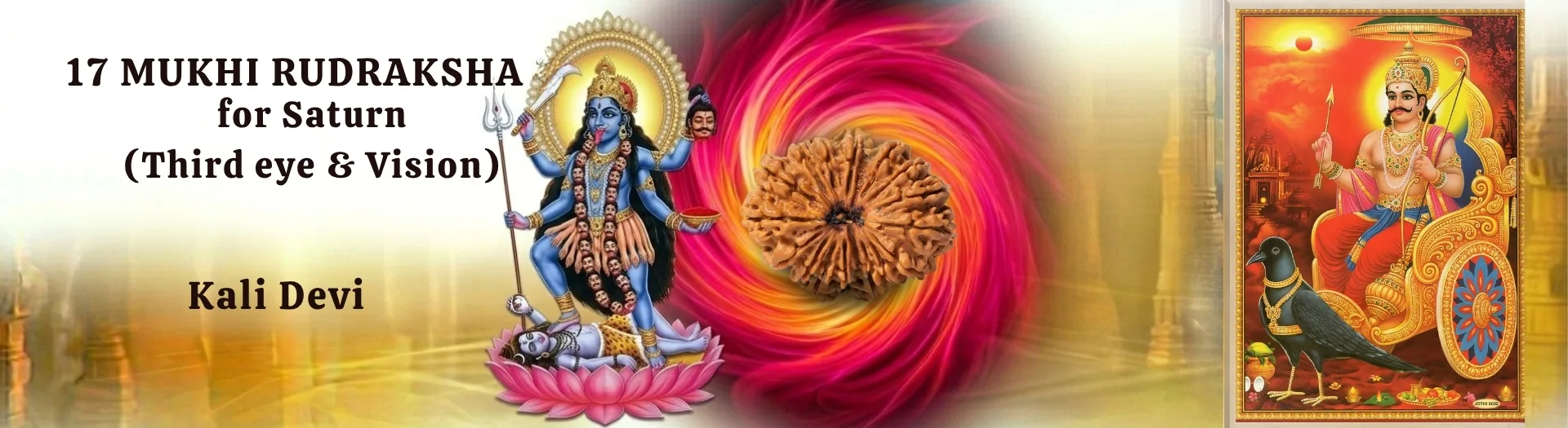 17 MUKHI RUDRAKSHA