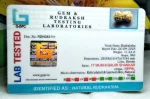 17 Mukhi Certificate