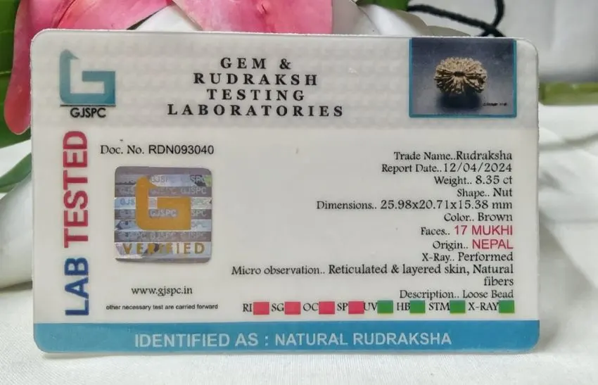 17 Mukhi Certificate