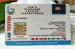 17 Mukhi Certificate