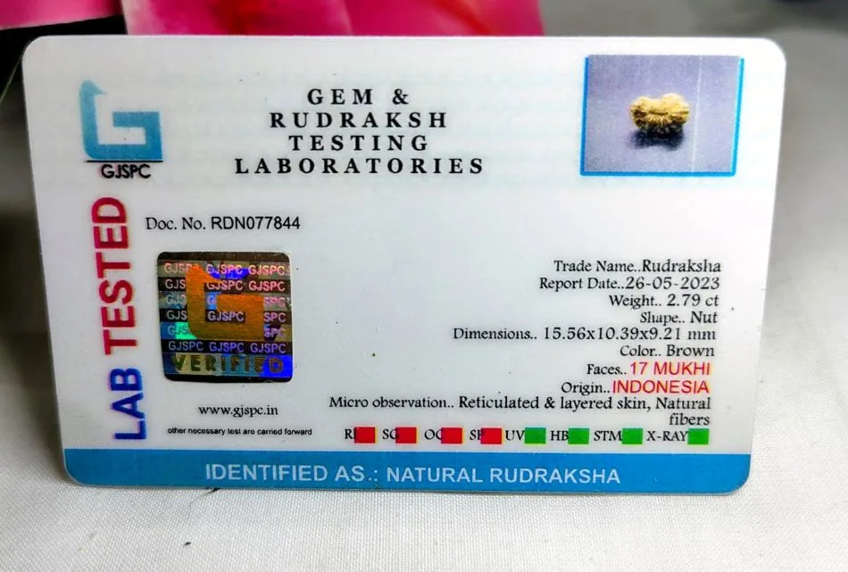 17 Mukhi Certificate