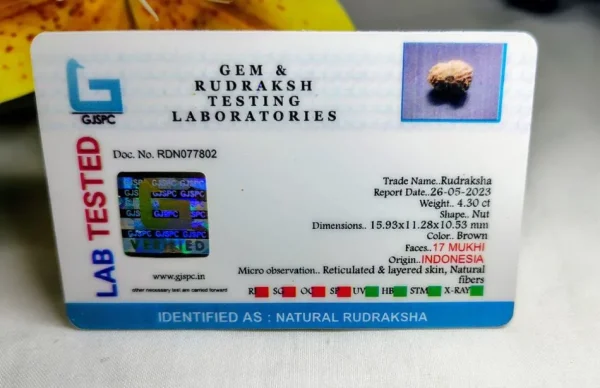 17 Mukhi Certificate
