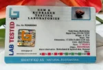 17 Mukhi Certificate