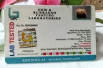 17 Mukhi Certificate