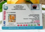 17 Mukhi Certificate