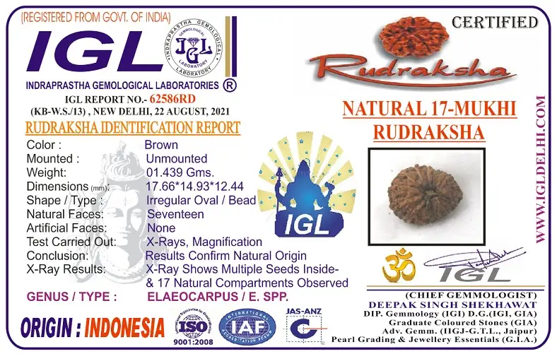17 Mukhi Certificate