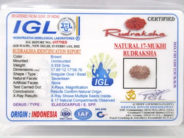 17 Mukhi Certificate