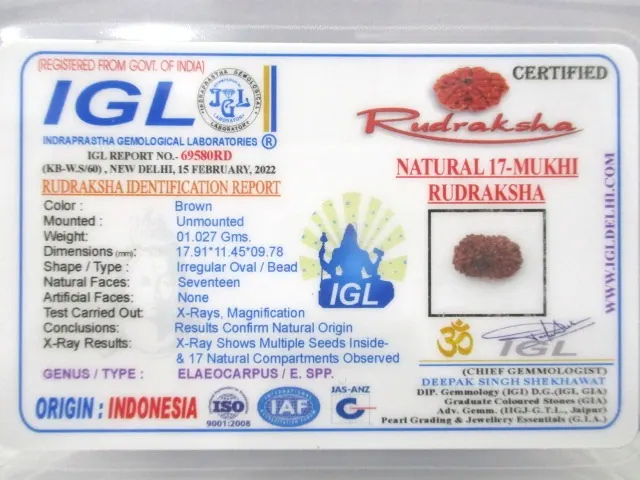 17 Mukhi Certificate