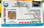 17 Mukhi Certificate