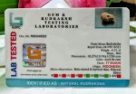 17 Mukhi Certificate