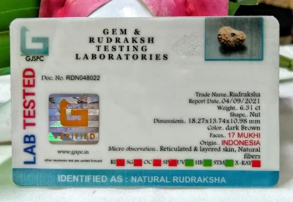17 Mukhi Certificate