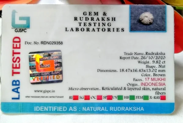17 Mukhi Certificate
