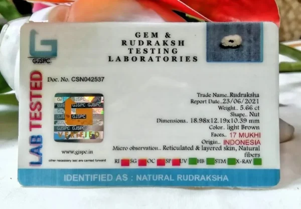 17 Mukhi Certificate