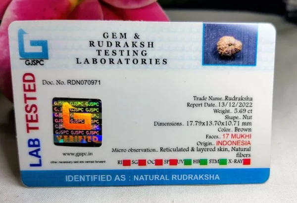 17 Mukhi Certificate