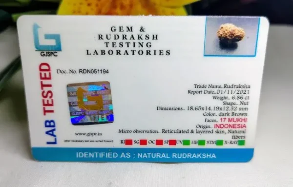 17 Mukhi Certificate