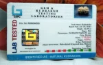17 Mukhi Certificate