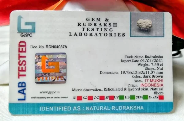 17 Mukhi Certificate