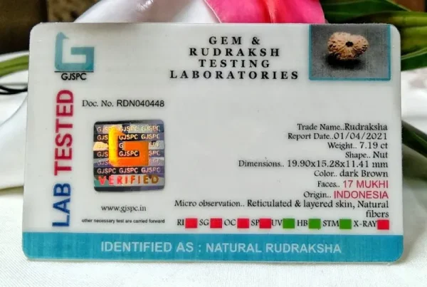 17 Mukhi Certificate