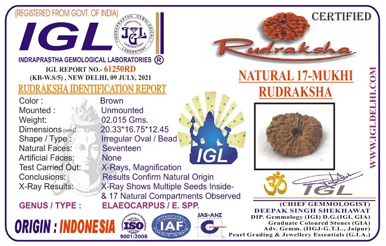 17 Mukhi Certificate