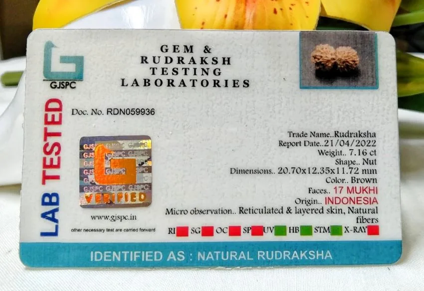 17 Mukhi Certificate