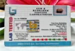 17 Mukhi Certificate