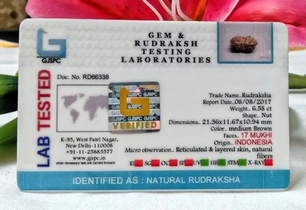 17 Mukhi Certificate