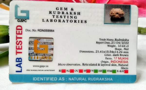 17 Mukhi Certificate